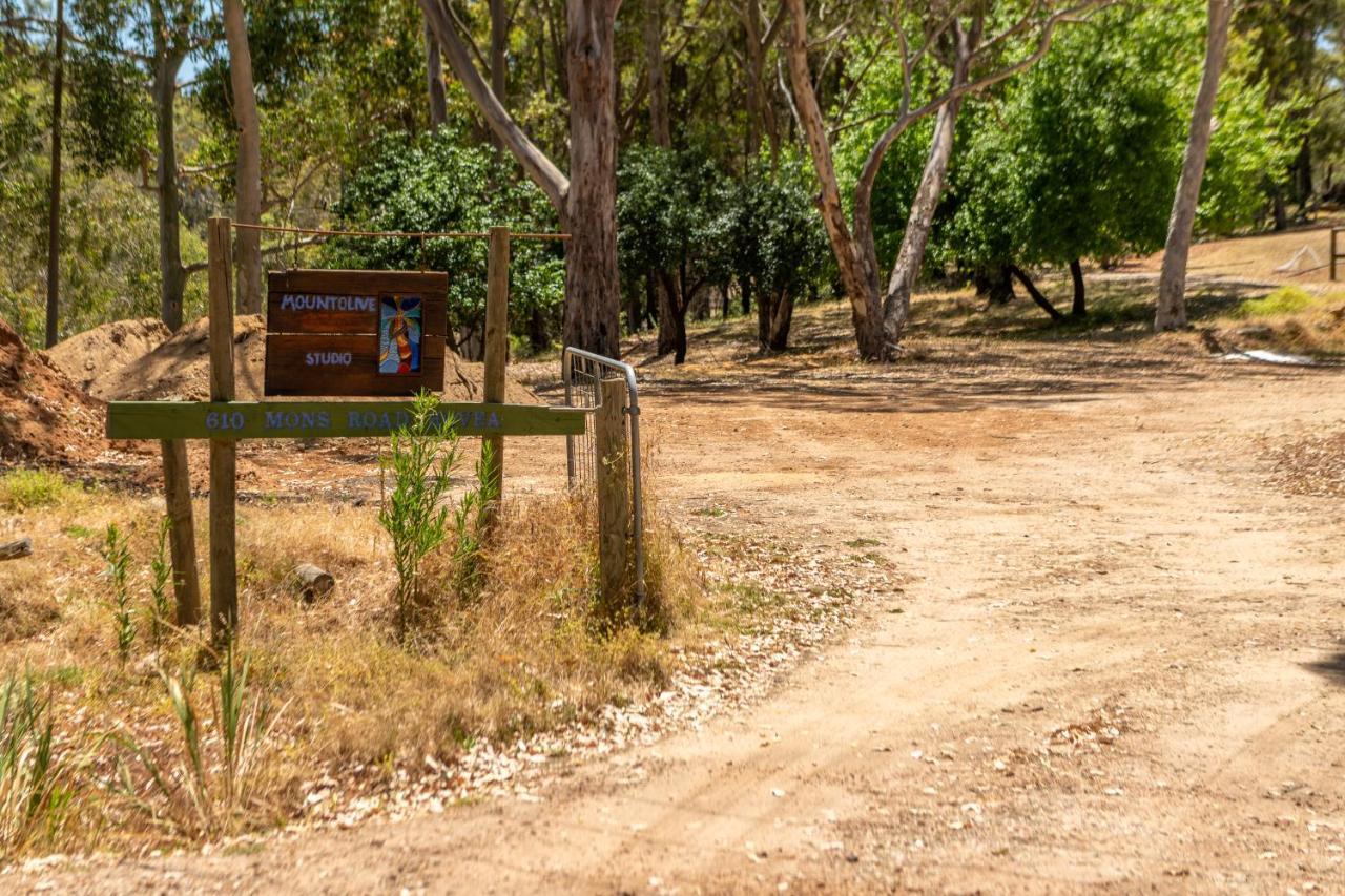 Hovea A Paradise For Dogs And A Magical Retreat For Hoomans 빌라 외부 사진