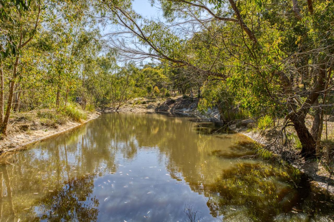 Hovea A Paradise For Dogs And A Magical Retreat For Hoomans 빌라 외부 사진